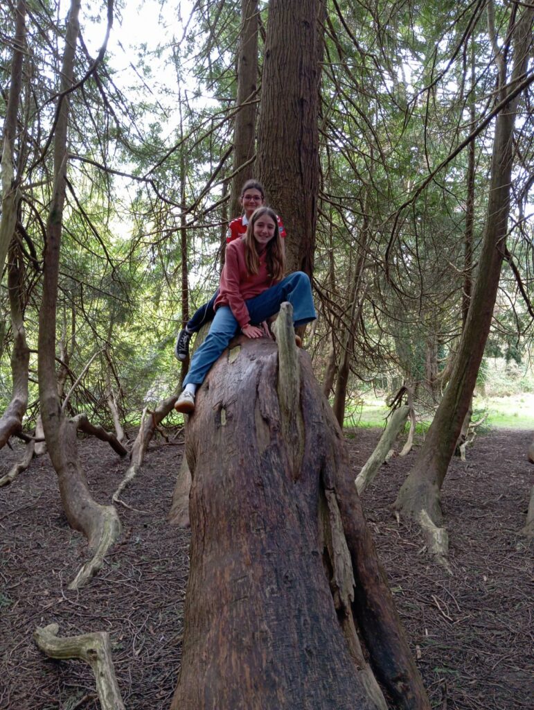 WhatsApp Image 2026-04-26 at 17.12.13 (1)