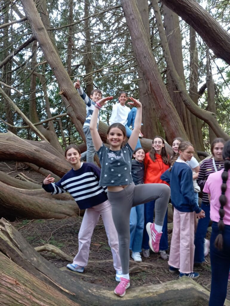 WhatsApp Image 2026-04-26 at 17.12.13